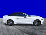 2017 Mustang Thumbnail 3