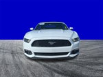 2017 Mustang Thumbnail 9