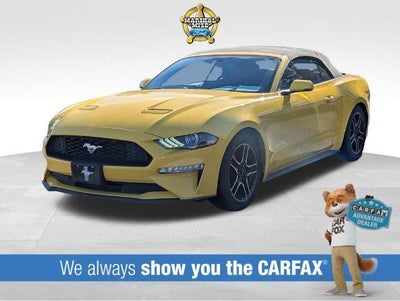 Photo of a 2018 Ford Mustang Ecoboost Premium 2DR Convertible for sale