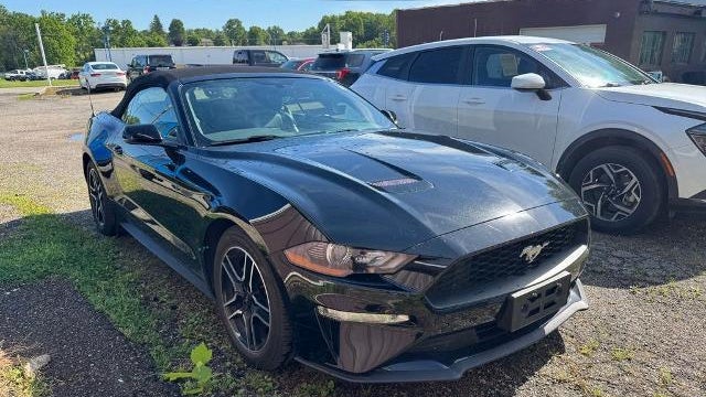 Preowned 2019 Ford Mustang EcoBoost for Sale