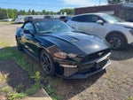 2019 Mustang Thumbnail 1