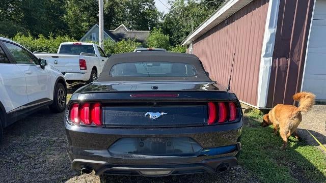 2019 Ford Mustang EcoBoost