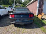 2019 Mustang Thumbnail 2
