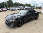 2019 Mustang Thumbnail 3