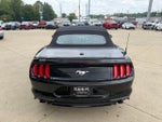 2019 Mustang Thumbnail 5