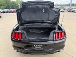 2019 Mustang Thumbnail 6