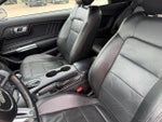 2019 Mustang Thumbnail 8