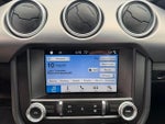 2019 Mustang Thumbnail 11