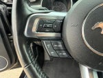 2019 Mustang Thumbnail 15