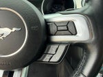 2019 Mustang Thumbnail 16