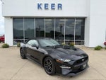 2019 Mustang Thumbnail 1