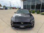 2019 Mustang Thumbnail 2