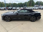 2019 Mustang Thumbnail 4