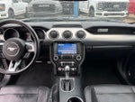 2019 Mustang Thumbnail 10