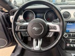 2019 Mustang Thumbnail 13