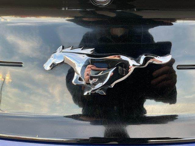 2019 Ford Mustang - $19,423