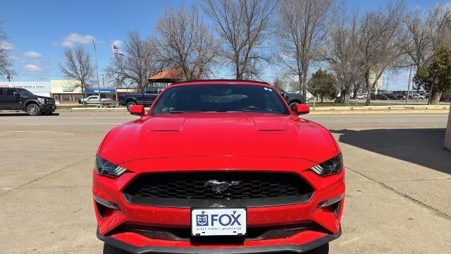 Preowned 2019 Ford Mustang EcoBoost for Sale