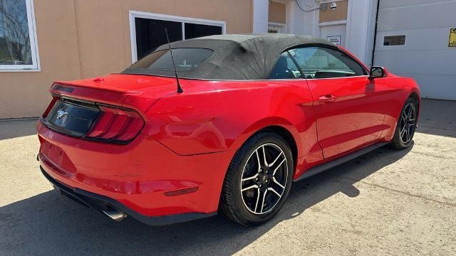 2019 Ford Mustang EcoBoost