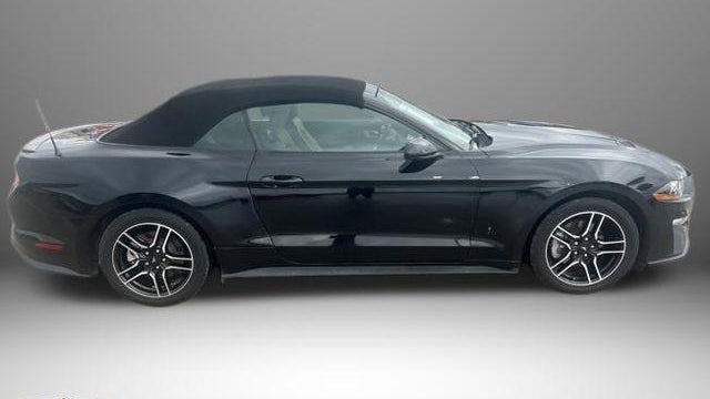 2022 Ford Mustang EcoBoost