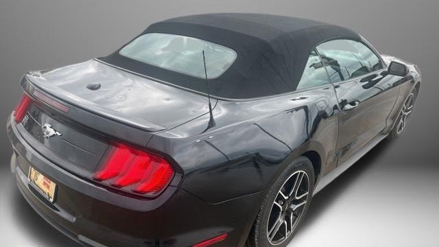 2022 Ford Mustang EcoBoost
