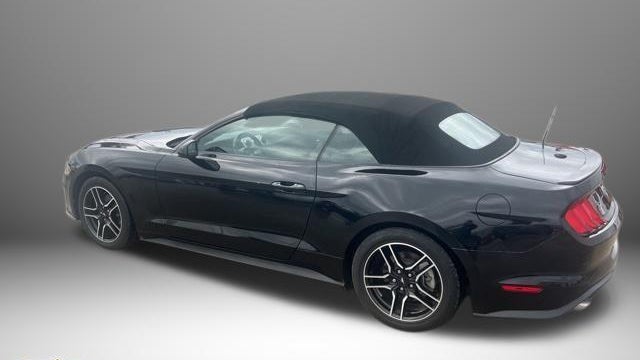 2022 Ford Mustang EcoBoost