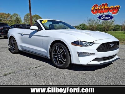 2023 Ford Mustang Ecoboost Premium 2DR Convertible
