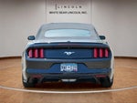 2016 Mustang Thumbnail 6