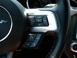 2016 Mustang Thumbnail 20