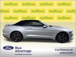 2018 Mustang Thumbnail 2