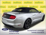 2018 Mustang Thumbnail 4