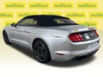2018 Mustang Thumbnail 13