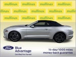 2018 Mustang Thumbnail 14