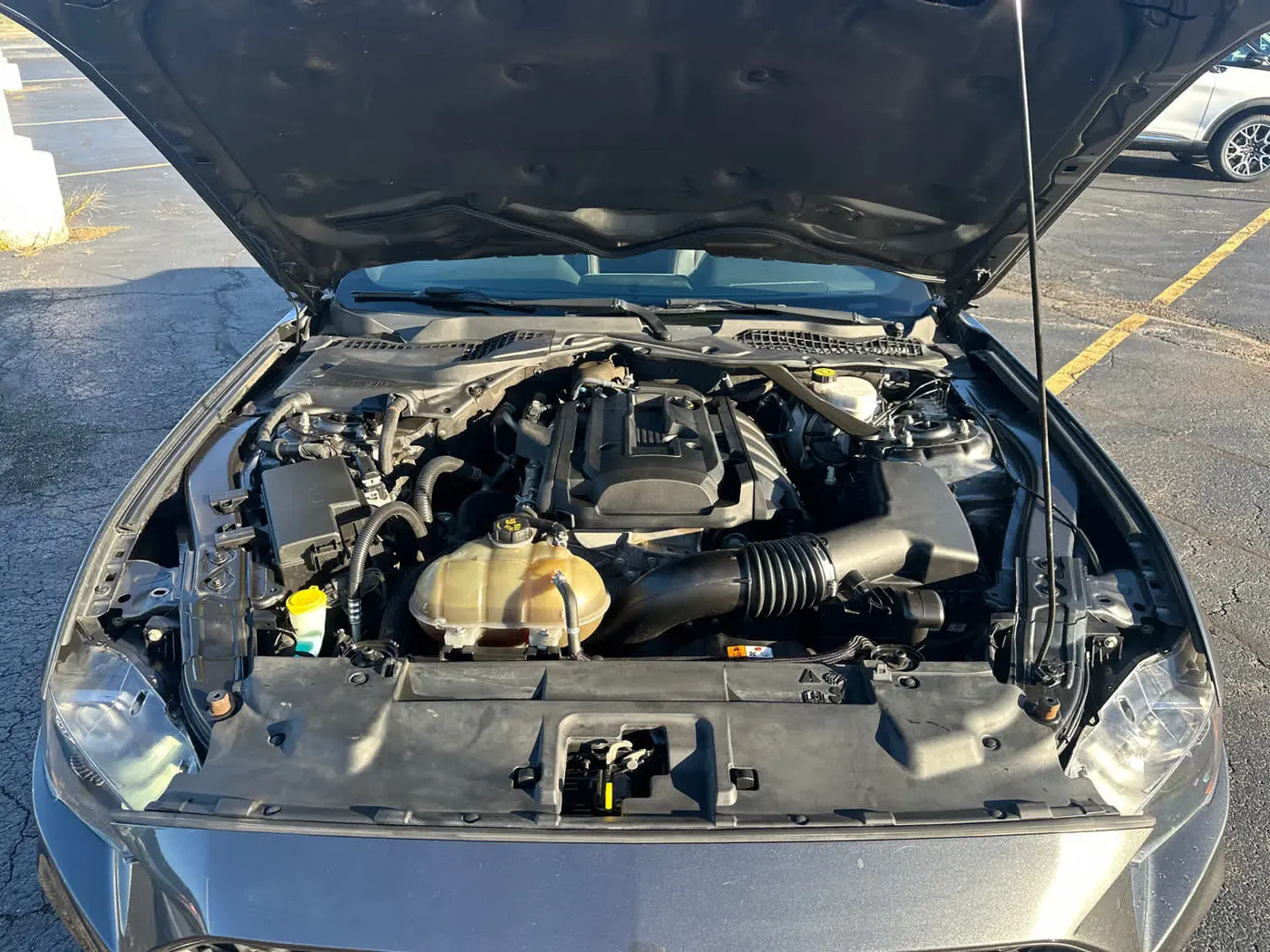 2018 Ford Mustang - $19,450