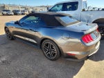 2018 Mustang Thumbnail 4