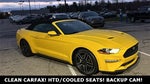 2018 Mustang Thumbnail 28