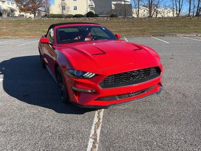 2019 Ford Mustang Ecoboost Premium 2DR Convertible