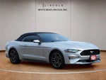 2020 Mustang Thumbnail 3