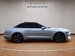 2020 Mustang Thumbnail 4