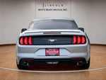 2020 Mustang Thumbnail 6