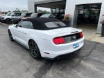 2020 Mustang Thumbnail 4