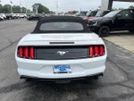 2020 Mustang Thumbnail 5