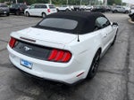 2020 Mustang Thumbnail 6