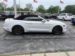 2020 Mustang Thumbnail 7