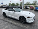 2020 Mustang Thumbnail 8