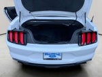2020 Mustang Thumbnail 17