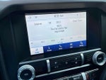 2020 Mustang Thumbnail 22