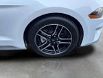 2020 Mustang Thumbnail 33