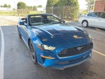 2021 Mustang Thumbnail 2