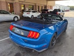 2021 Mustang Thumbnail 4