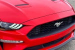 2021 Mustang Thumbnail 4